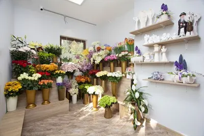 Kwiaciarnia Ewa Dominiak. Florystyka pogrzebowa, wieńce pogrzebowe